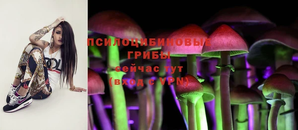 ГАЛЛЮЦИНОГЕННЫЕ ГРИБЫ Грязи