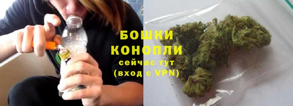 гидра Новокубанск