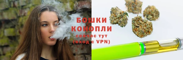 гидра Новокубанск