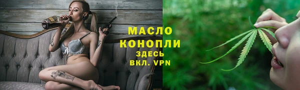 индика Надым