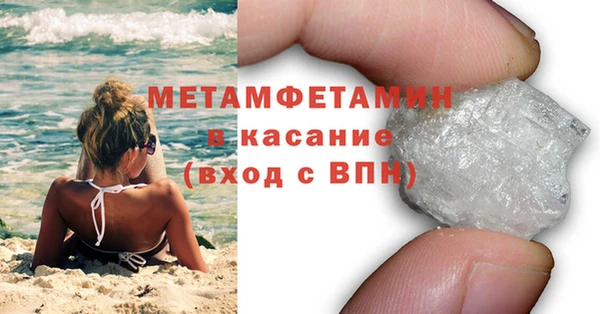 ПСИЛОЦИБИНОВЫЕ ГРИБЫ Грязовец
