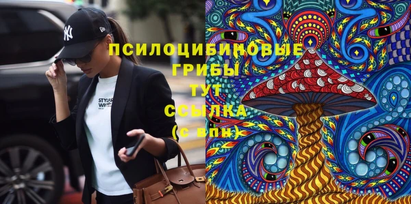 первитин Новозыбков