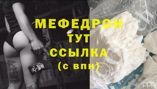 индика Надым