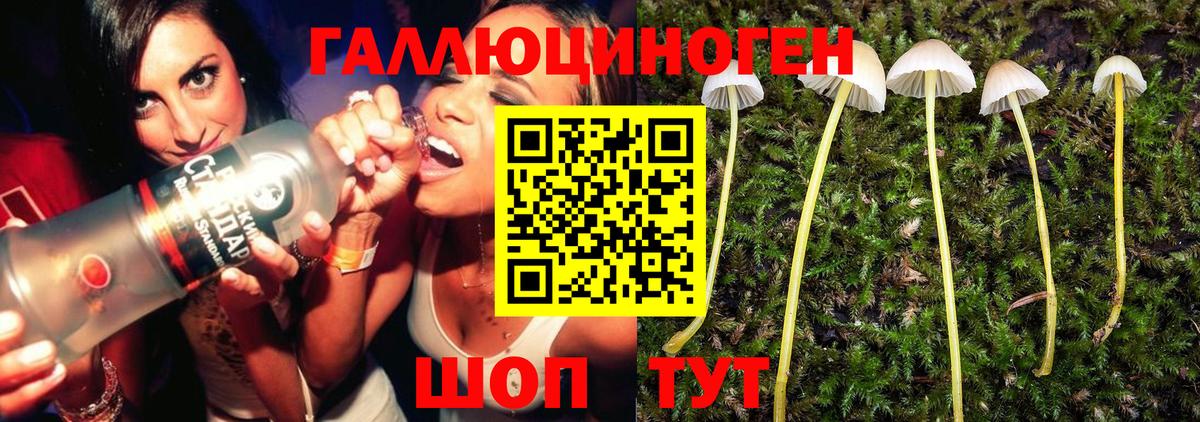Псилоцибиновые грибы MAGIC MUSHROOMS Изобильный