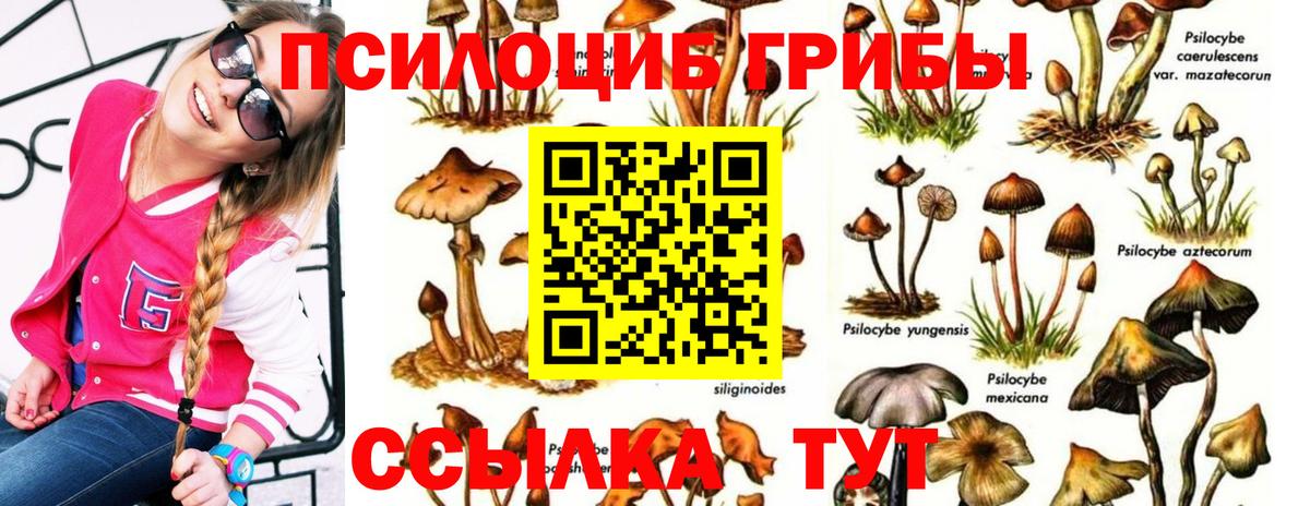 Лсд 25 Изобильный